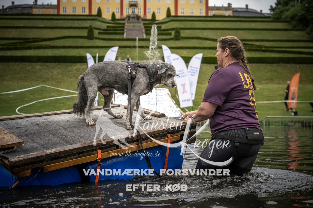 1012_ZZ95024 | kk-dogfotos