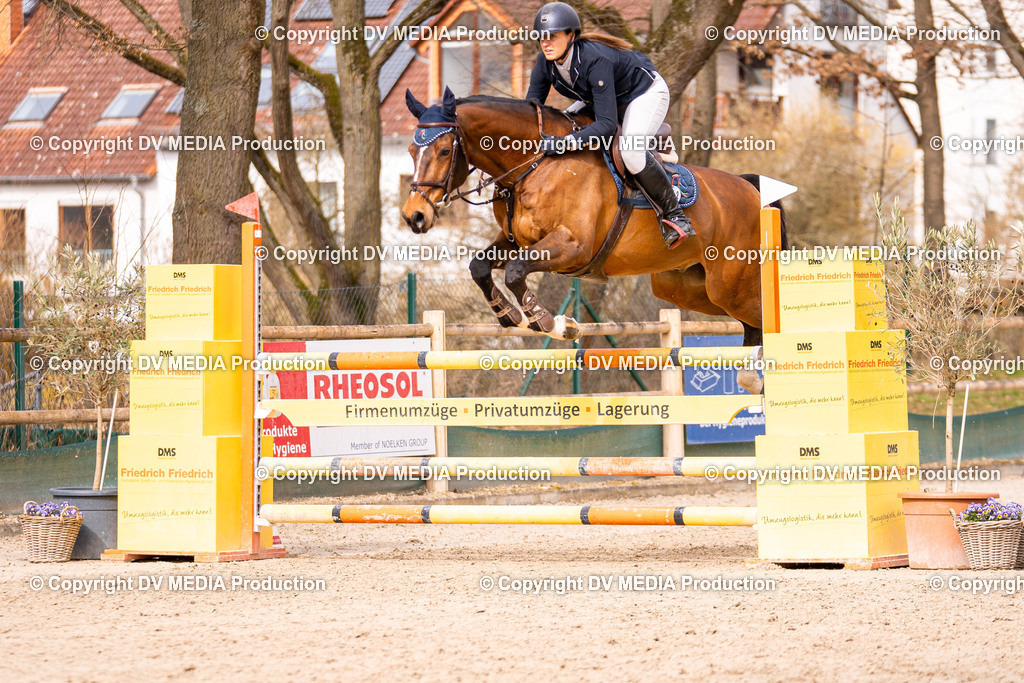 Kranichstein Tag 2-378 | dv-media-shop - Realisiert mit Pictrs.com