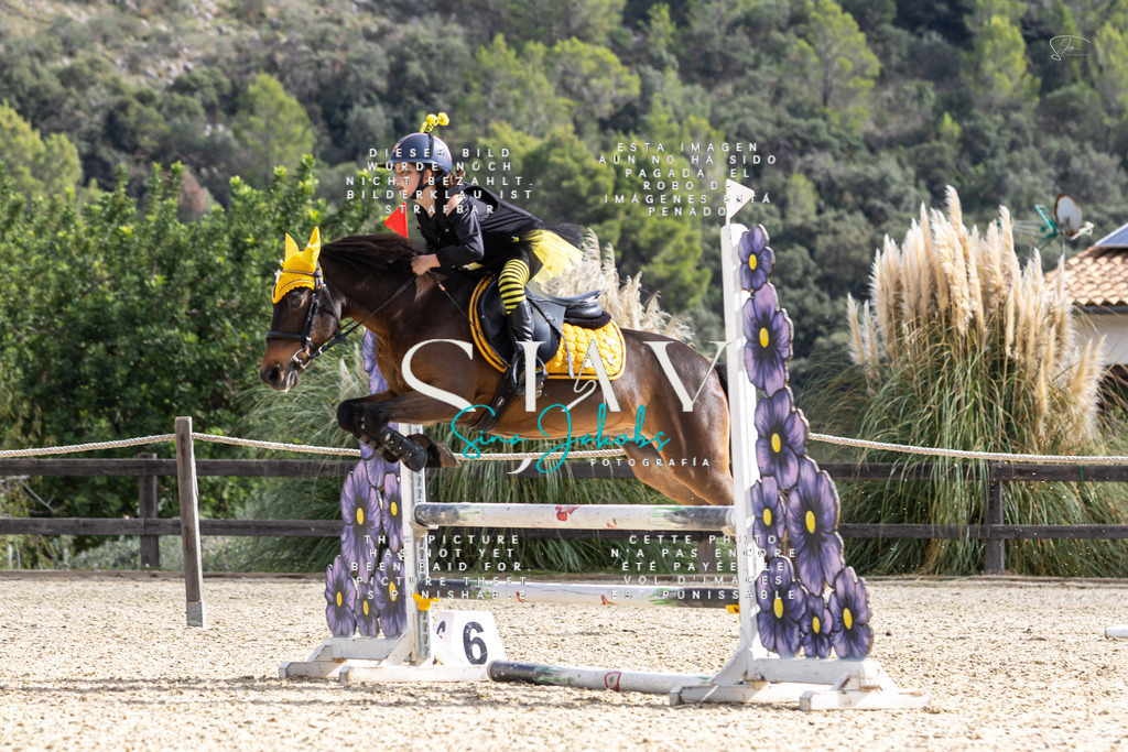 IMG_2606 | s-jay-photography - Realisiert mit Pictrs.com