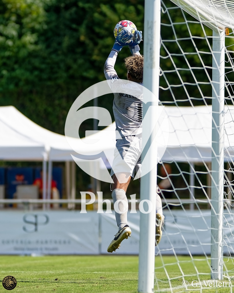 DZ8_9090 | Velletri Photo