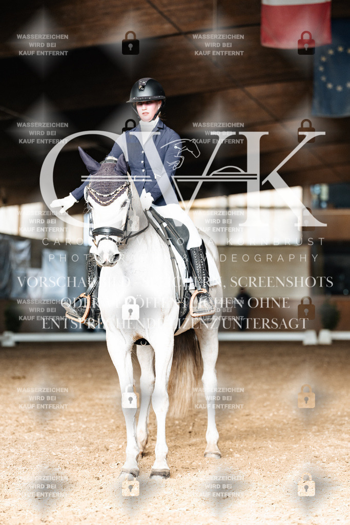 CK902599 | Turnierfotografie Pferdefotografie Trier Rheinland-Pfalz Pferdesport Reitsport Tierfotografie Sportfotografie Pferdevideo Pferdevideografie Equestrianvideography equestrianphotography  - Realisiert mit Pictrs.com