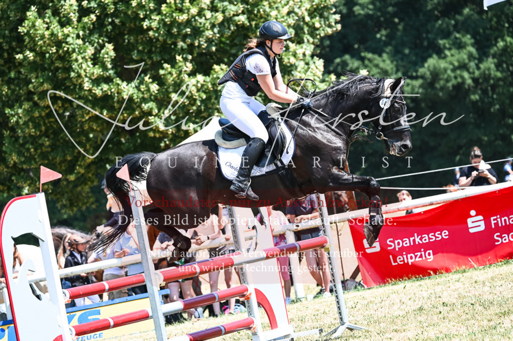 DSC_0415 | Pferde- und Turnierfotografie in Westsachsen. Pferdeportraits, Auftragszeichnungen und intuitive Kunst.