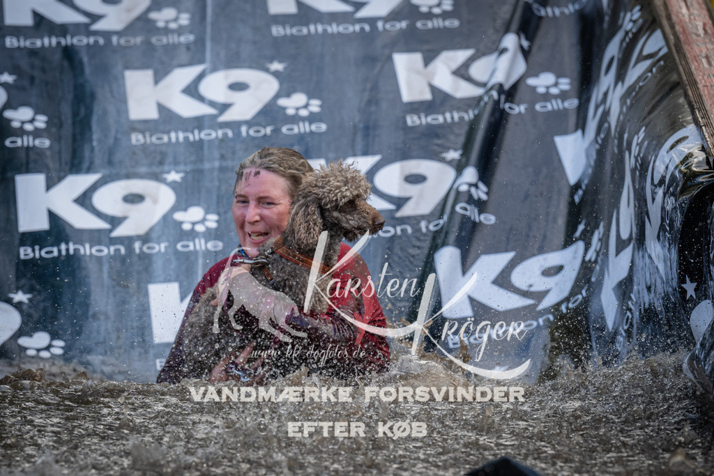 1527_ZZ94619 | kk-dogfotos