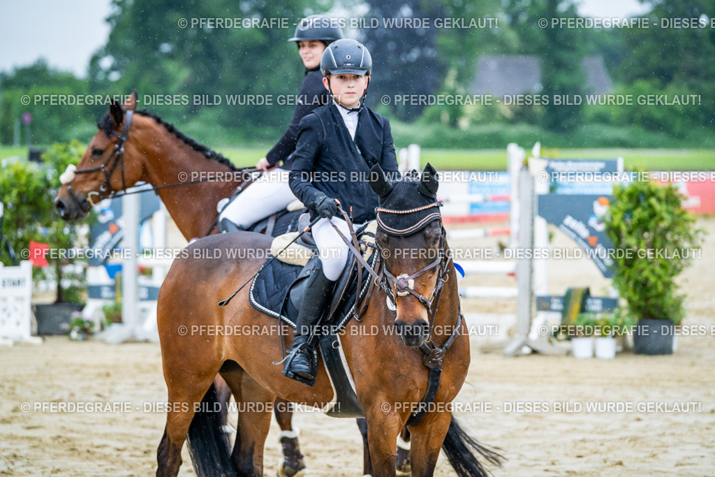 DSC01507 | Pferdegrafie