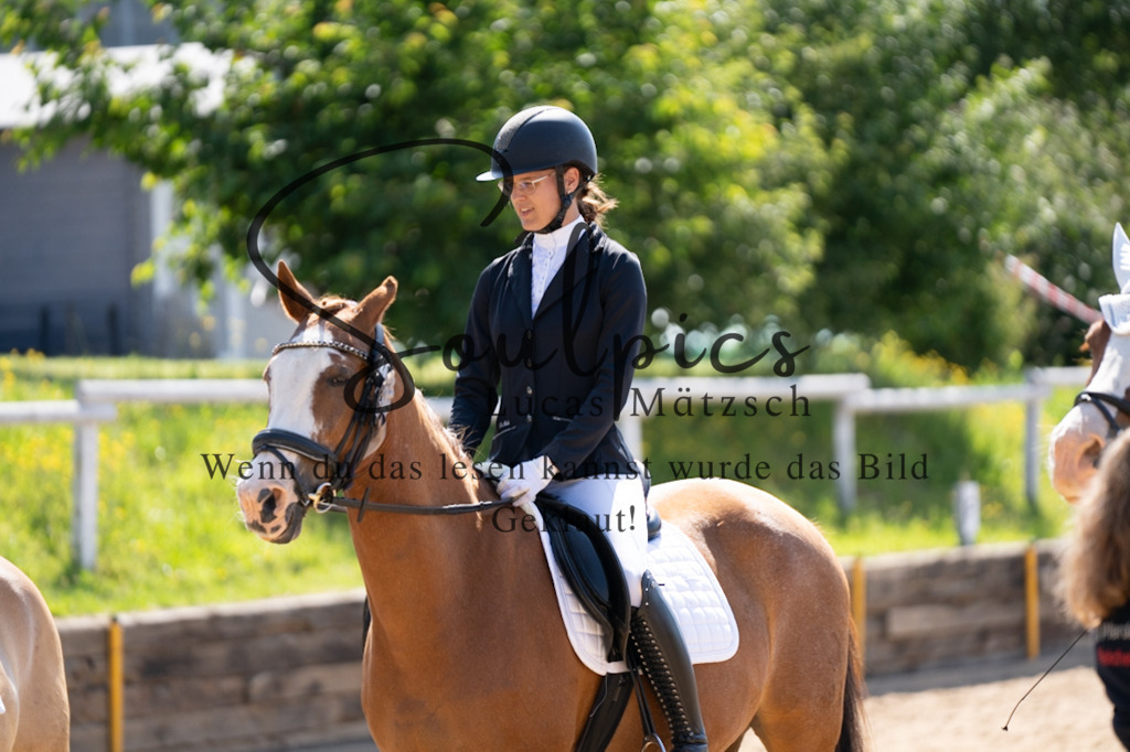 A7V07905 | Pferdefotograf