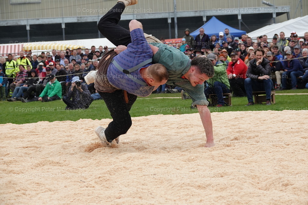 DSC03297 | Schwingen - Realisiert mit Pictrs.com
