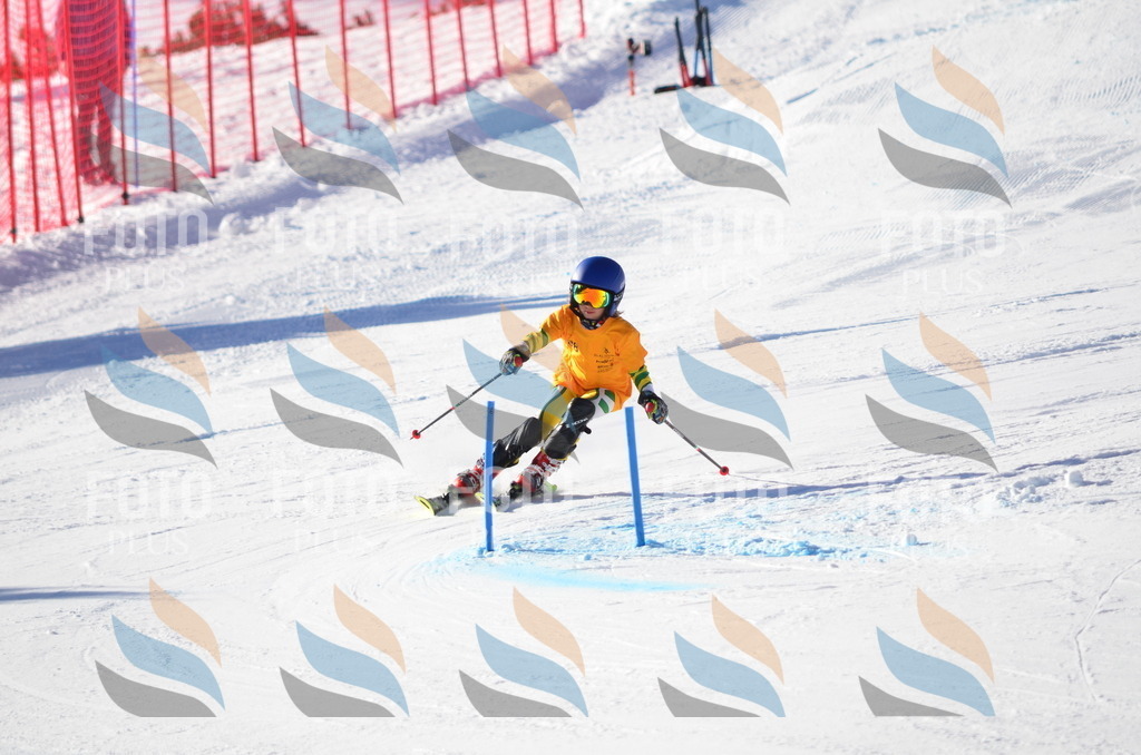 C6043 | holidayphoto