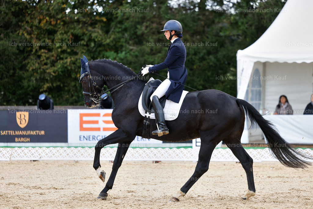 10-190-ST.GEORG SPECIAL -StoibPH-3225 | working equitationturnier fotograf videograf stoibphotography marixx film working equitation deutschland reitsport turnierfotografie eventfotografie equestrian events
