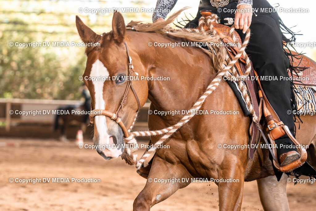 Erbach Tag 1-610 | dv-media-shop - Realisiert mit Pictrs.com