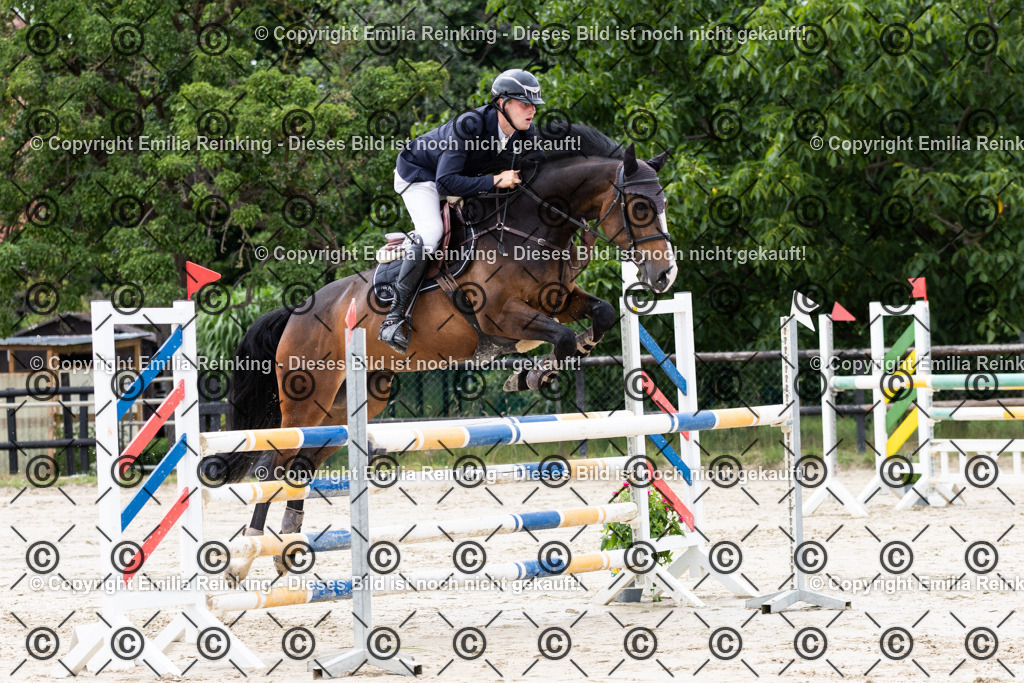 CL5A5425 | Emilia Reinking Fotografie - Realisiert mit Pictrs.com