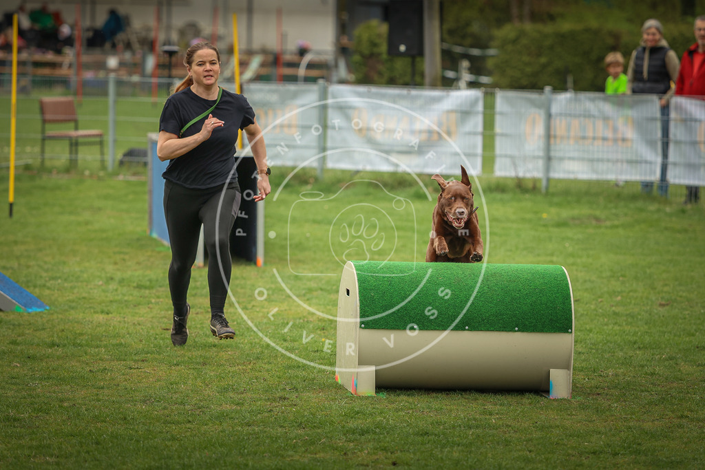 Pfotenfotografie_0L8A1866 | Hundefotografie, Tierfotograf, Pfotenfotografie, Fotoshooting Hund, Hunde Portrait, Hundesport, Hundeportraits, Heideshooting, Hunde, Sportfotograf, Hundefotograf, Turnierhundsport, THS,  - Realisiert mit Pictrs.com