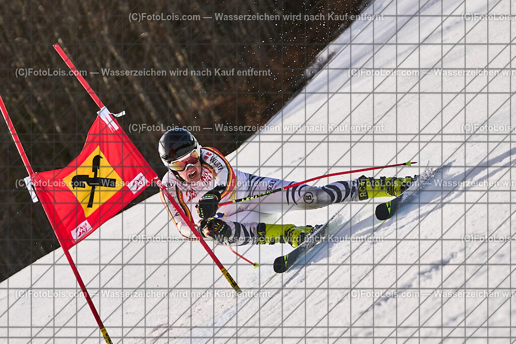 ALP9091_Herrn-FIS-GS-II_Lackenhof-WY_DALLHAMMER Gabriel | Internationaler FIS GiantSlalom der Herrn auf der Distelpiste in Lackenhof am Di 11. März 2025.  Österreich, LSV-NÖ, Sportunion Waidhofen/Ybbs (2035).