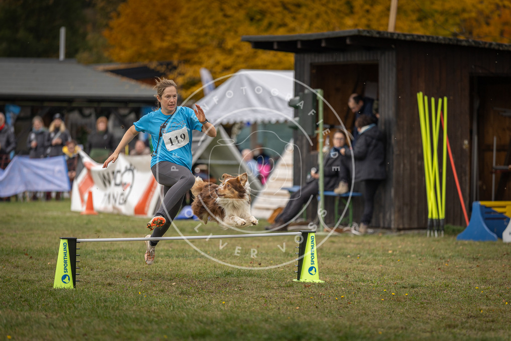 Pfotenfotografie_DV3A7314 | Hundefotografie, Tierfotograf, Pfotenfotografie, Fotoshooting Hund, Hunde Portrait, Hundesport, Hundeportraits, Heideshooting, Hunde, Sportfotograf, Hundefotograf, Turnierhundsport, THS,  - Realisiert mit Pictrs.com