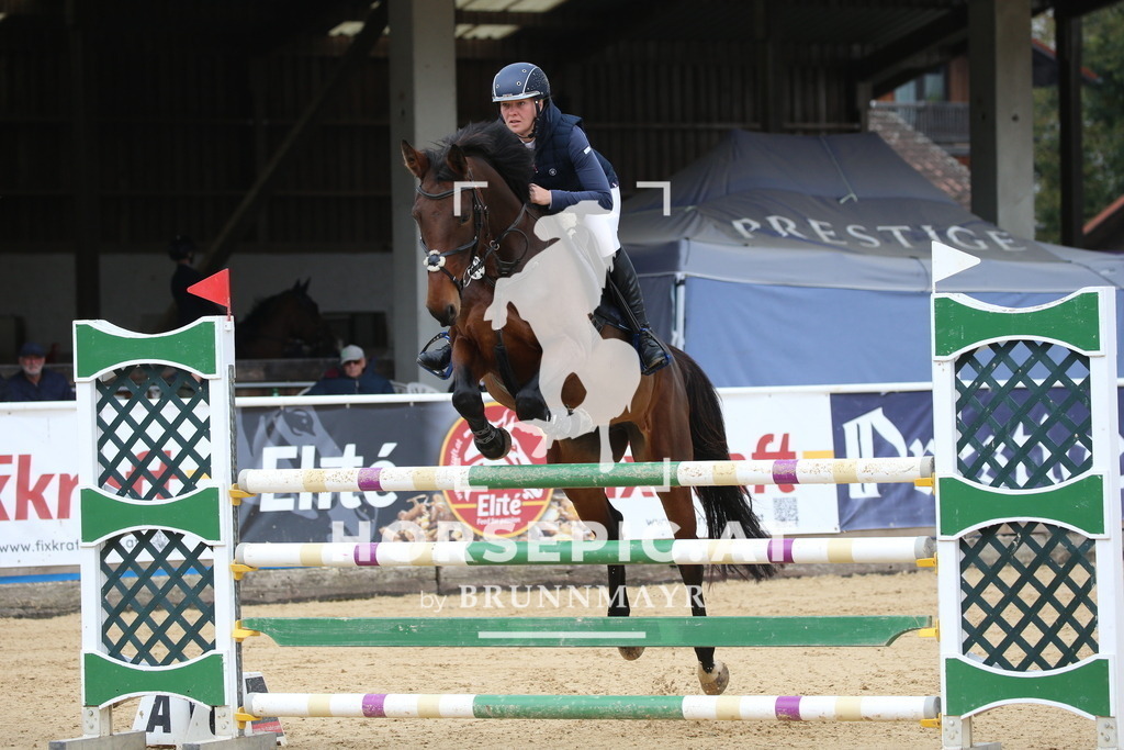 DL2Q0611 | Willkommen bei Brunnmayr - Design & Fotografie – Ihrem Spezialisten für Reitturniere und Pferdeveranstaltungen in Oberösterreich, Salzburg und Bayern! Seit über 17 Jahren sind wir leidenschaftlich dabei.