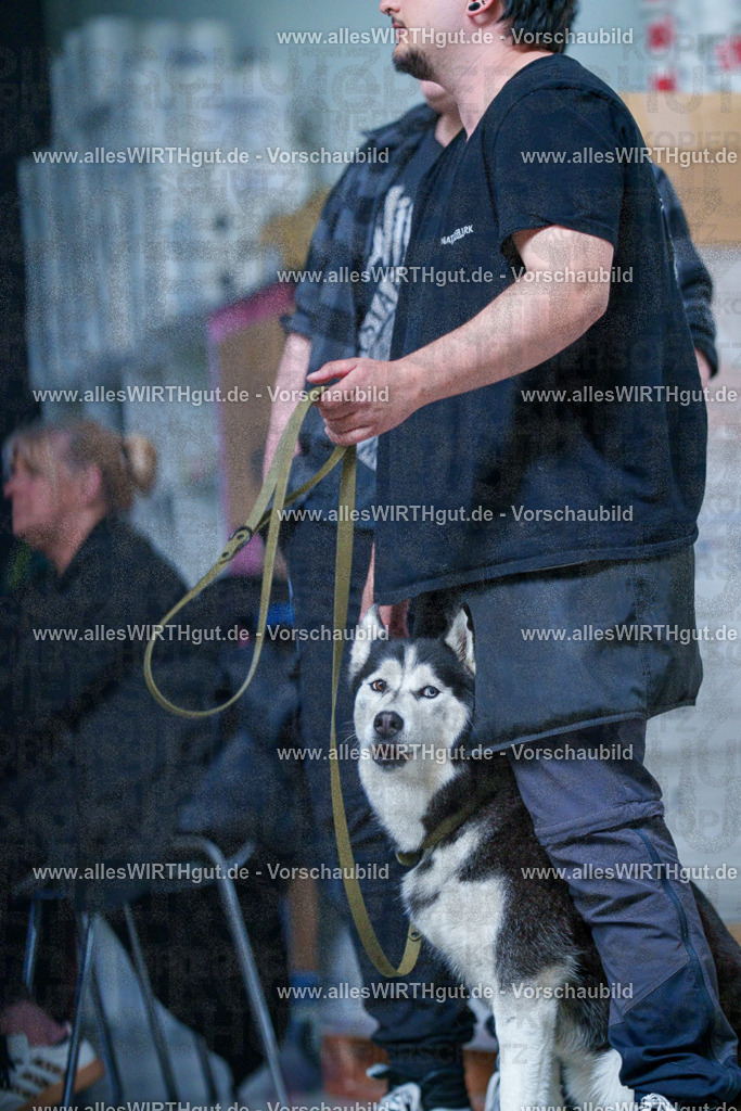 @allesWIRTHgut_Tierfotografie - www.allesWIRTHgut.de - 2604251356-7R504388 | Professionelle Tierfotografie in Mönchengladbach von Daniel Wirth (allesWIRTHgut). Liebevolle & natürliche Bilder von Hunden & Katzen für unvergessliche Erinnerungen.