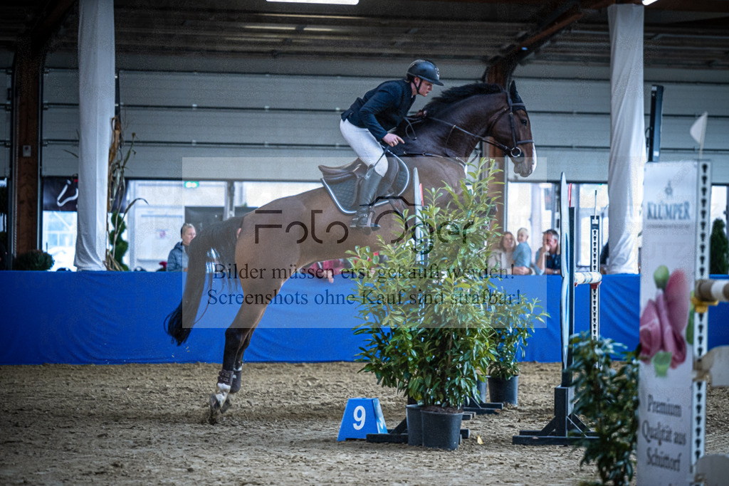 DOS_1023 | Entdecke hochwertige Reitturnierfotos von Foto Oger. Professionell, emotional und authentisch – jetzt Lieblingsmomente im Shop bestellen.Deutschlandweite Turnierfotografie. - Realisiert mit Pictrs.com