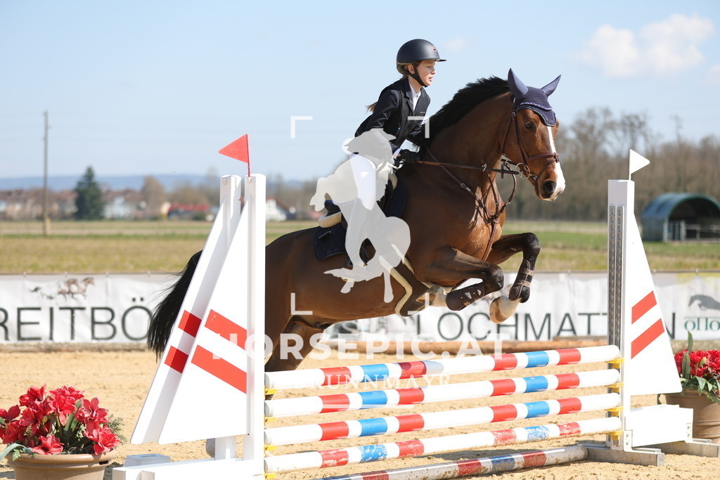 0P6A6691 | Willkommen bei Brunnmayr - Design & Fotografie – Ihrem Spezialisten für Reitturniere und Pferdeveranstaltungen in Oberösterreich, Salzburg und Bayern! Seit über 17 Jahren sind wir leidenschaftlich dabei.