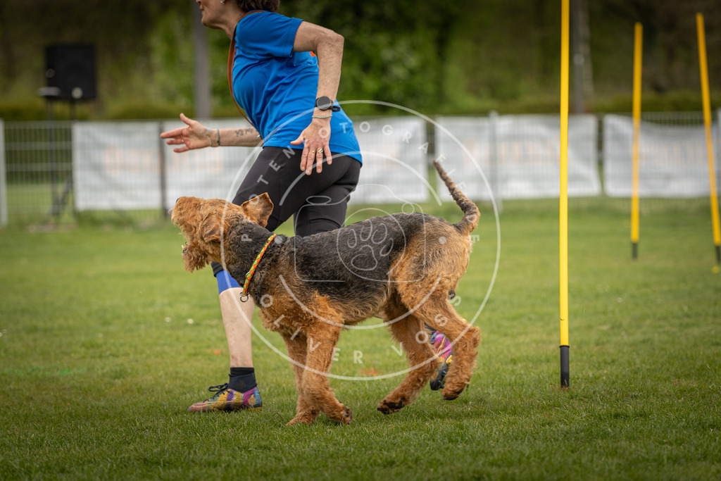 Pfotenfotografie_DV3A7572 | Hundefotografie, Tierfotograf, Pfotenfotografie, Fotoshooting Hund, Hunde Portrait, Hundesport, Hundeportraits, Heideshooting, Hunde, Sportfotograf, Hundefotograf, Turnierhundsport, THS,  - Realisiert mit Pictrs.com