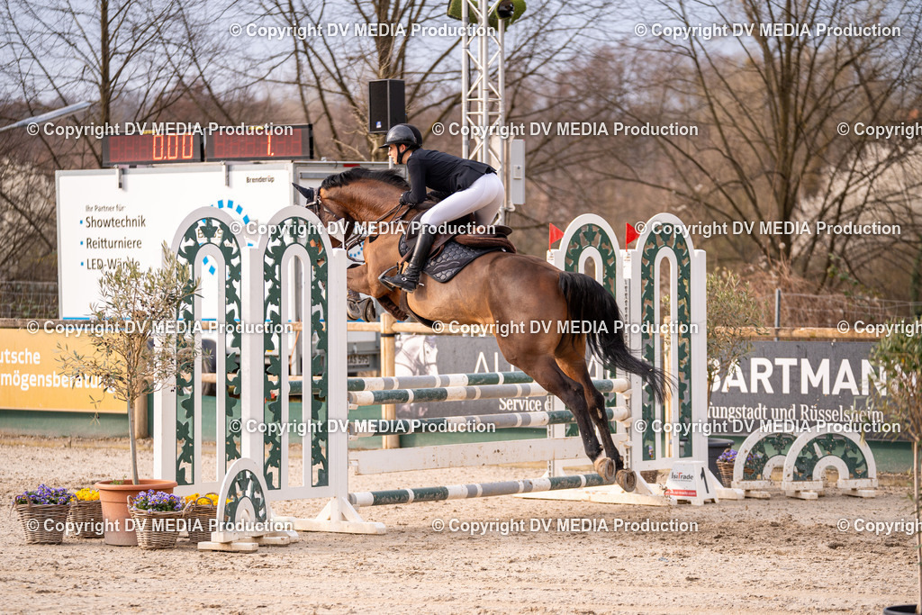 Kranichstein Tag 2-1387 | dv-media-shop - Realisiert mit Pictrs.com