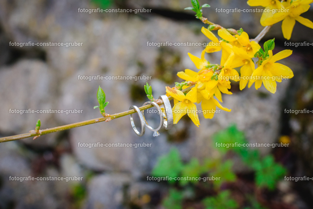 1007 | Fotografie Constance Gruber - Realisiert mit Pictrs.com