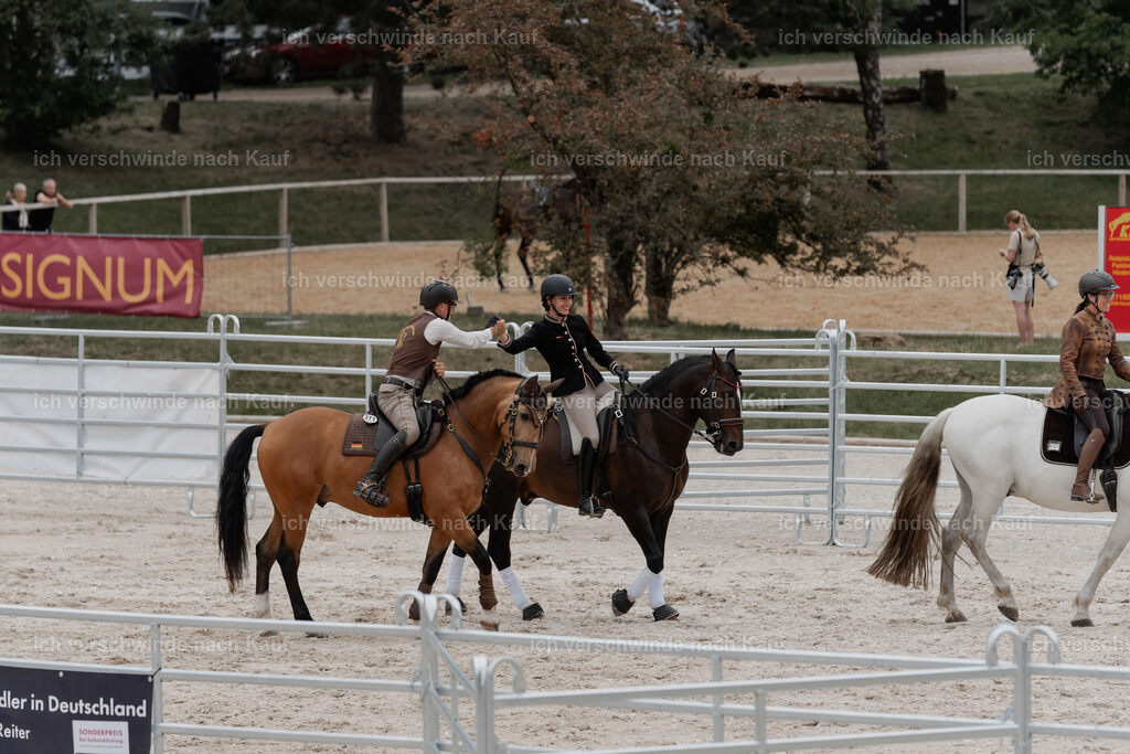 WE__Stoib_Rinder_PI2025_3090 | Pferd International München 2025