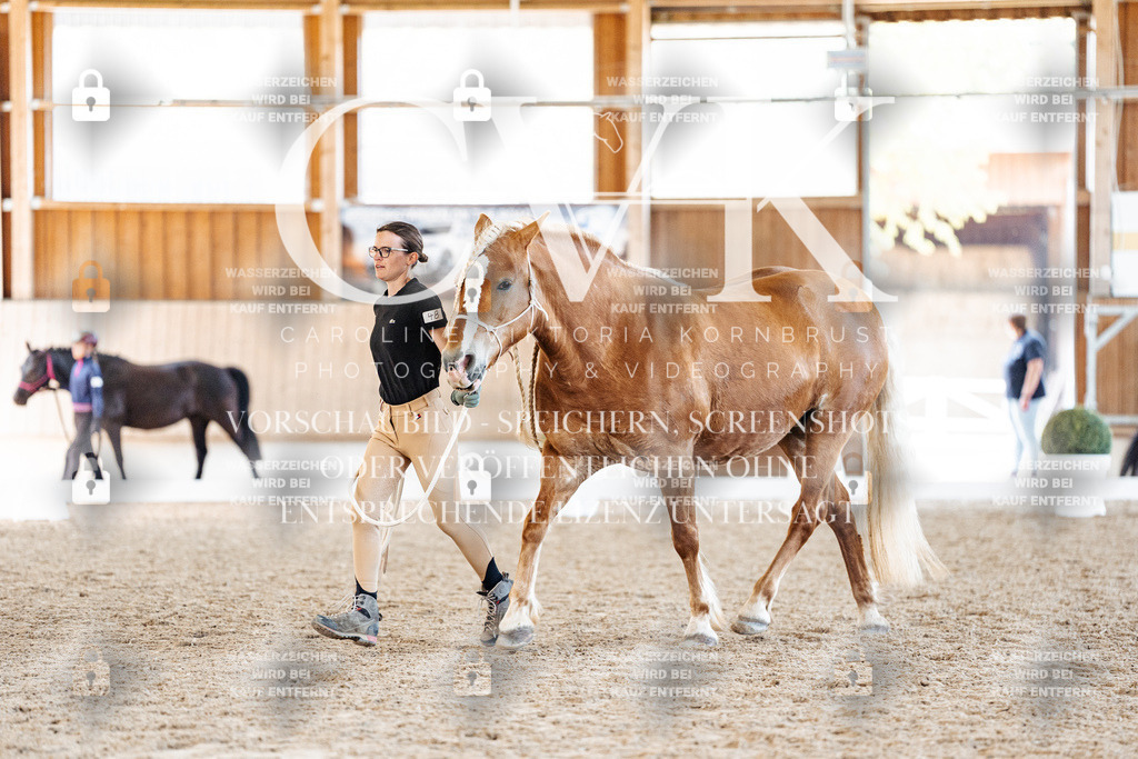 CK906702 | Turnierfotografie Pferdefotografie Trier Rheinland-Pfalz Pferdesport Reitsport Tierfotografie Sportfotografie Pferdevideo Pferdevideografie Equestrianvideography equestrianphotography  - Realisiert mit Pictrs.com