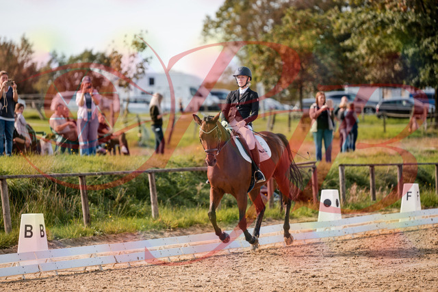 2026_10_03_Siefer-Hof_131047_Z63_74099665 | Professionelle Reitsport-, Turnier- und Eventfotografie von Robert Broda. Galerien mit ausgewählten und bearbeiteten Bildern direkt online ansehen und bestellen.