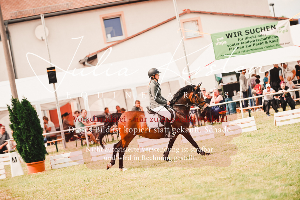 DSC_6924 | Pferde- und Turnierfotografie in Westsachsen. Pferdeportraits, Auftragszeichnungen und intuitive Kunst.
