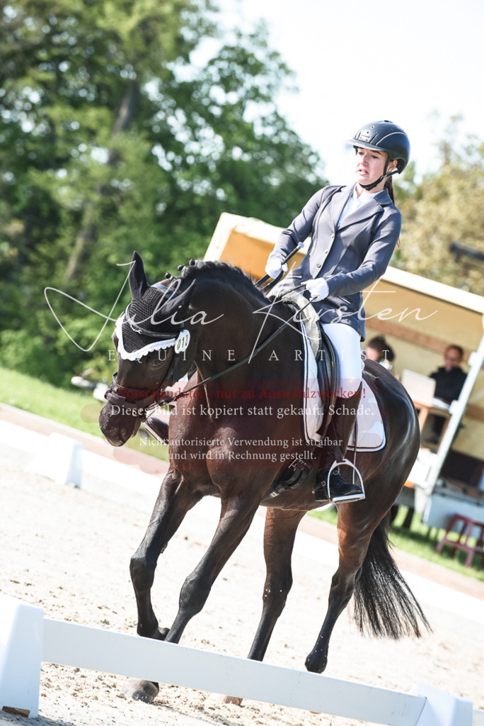 20230518_JK-Röhrsdorf-09-0786 | Pferde- und Turnierfotografie in Westsachsen. Pferdeportraits, Auftragszeichnungen und intuitive Kunst.