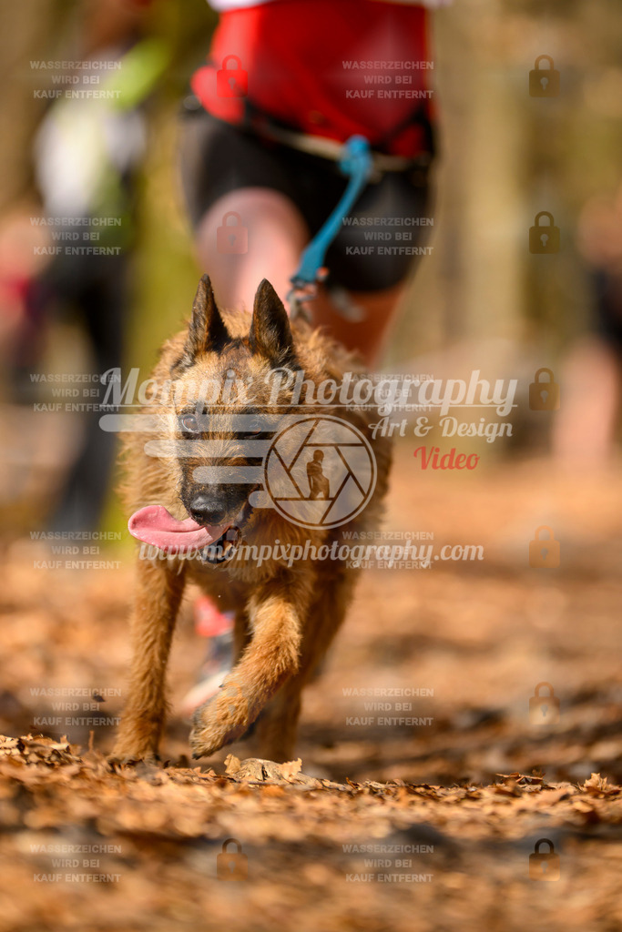 MompixPhotography_Habay2025_SA_CCC-123 | PayLife