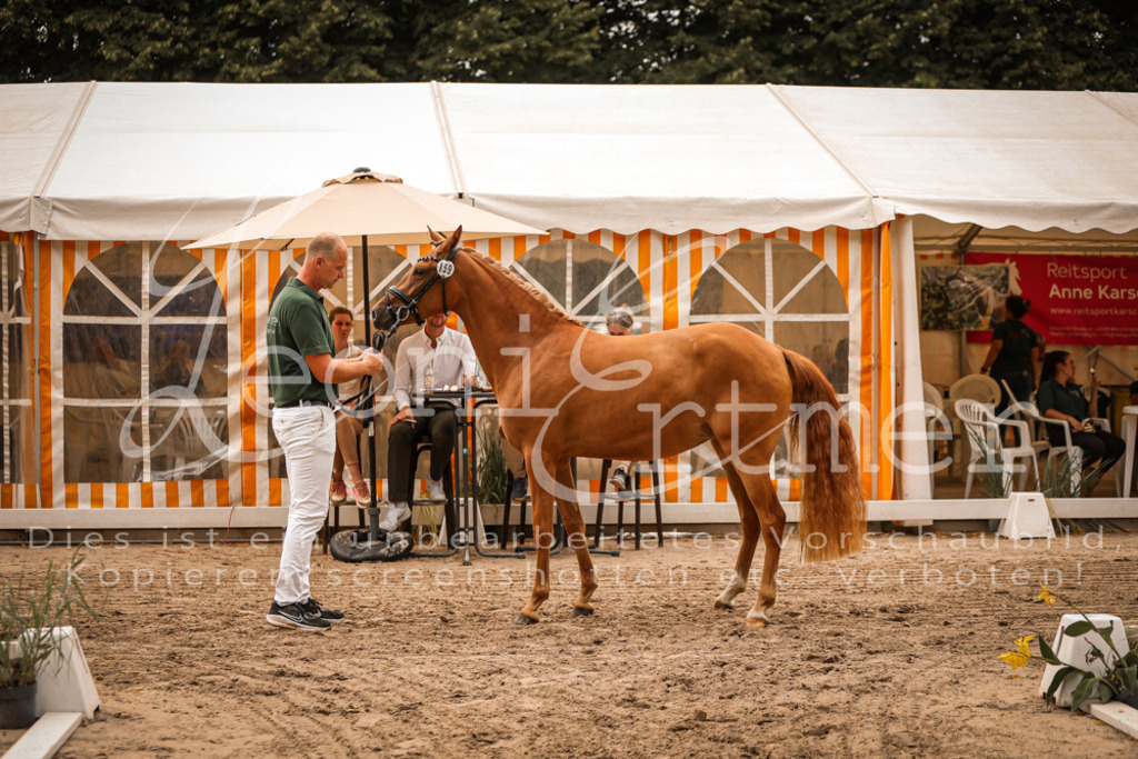 10.So00052 | Leoni Ertmer Photography - Realisiert mit Pictrs.com