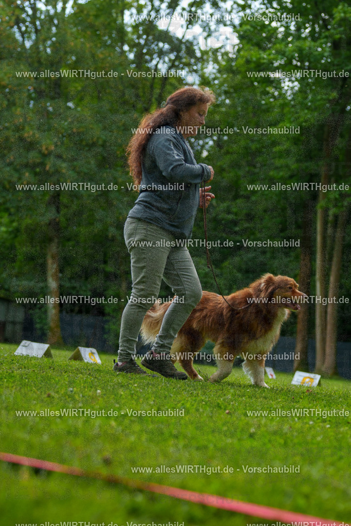 @allesWIRTHgut_Tierfotografie - www.allesWIRTHgut.de - 7R505127 | Professionelle Tierfotografie in Mönchengladbach von Daniel Wirth (allesWIRTHgut). Liebevolle & natürliche Bilder von Hunden & Katzen für unvergessliche Erinnerungen.