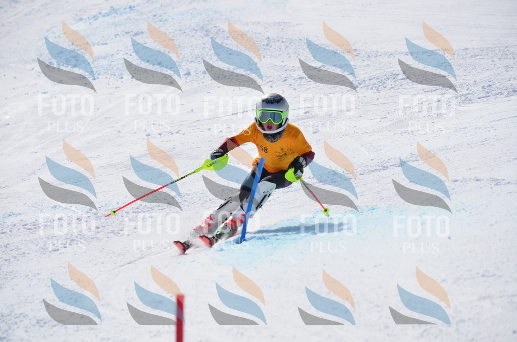 C9828 | holidayphoto