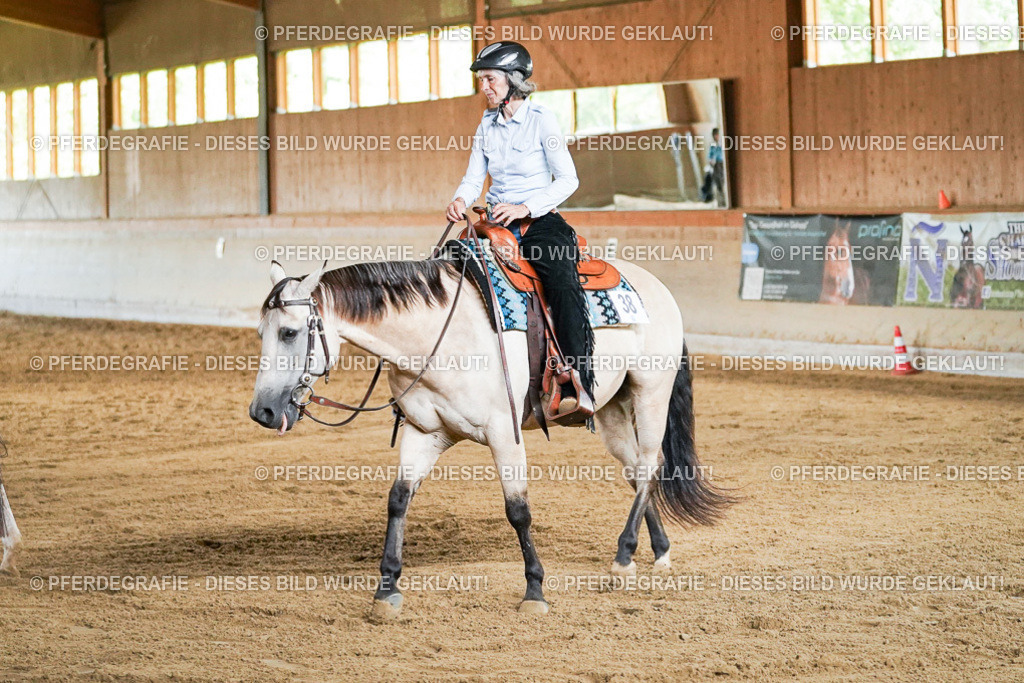 DSC05834 | Pferdegrafie