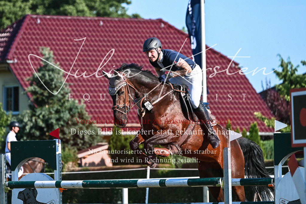 DSC_2938 | Pferde- und Turnierfotografie in Westsachsen. Pferdeportraits, Auftragszeichnungen und intuitive Kunst.