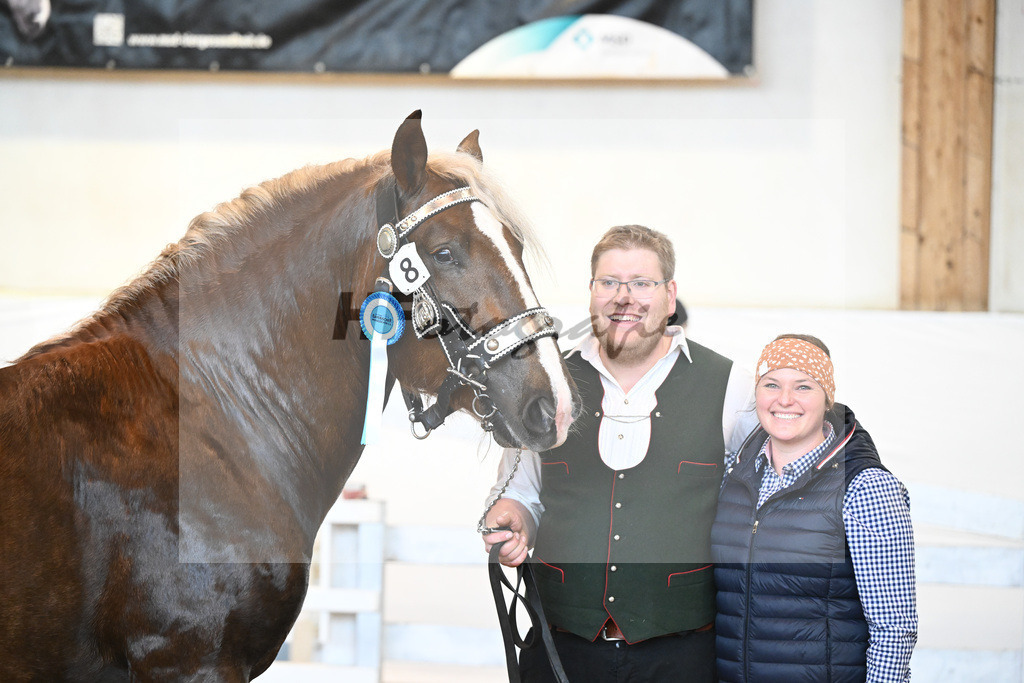 Kat-Nr. 8 v. Valegro_Glonecker_6240200 | hf-fotografie - Realisiert mit Pictrs.com