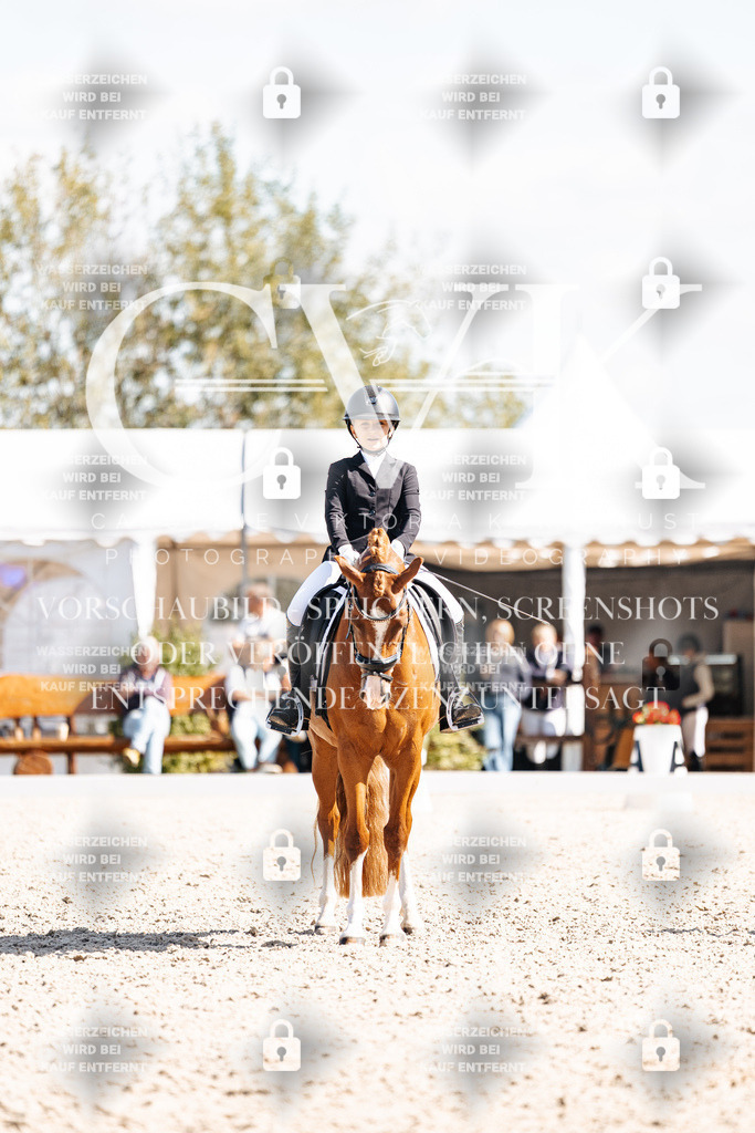 CK903024 | Turnierfotografie Pferdefotografie Trier Rheinland-Pfalz Pferdesport Reitsport Tierfotografie Sportfotografie Pferdevideo Pferdevideografie Equestrianvideography equestrianphotography  - Realisiert mit Pictrs.com