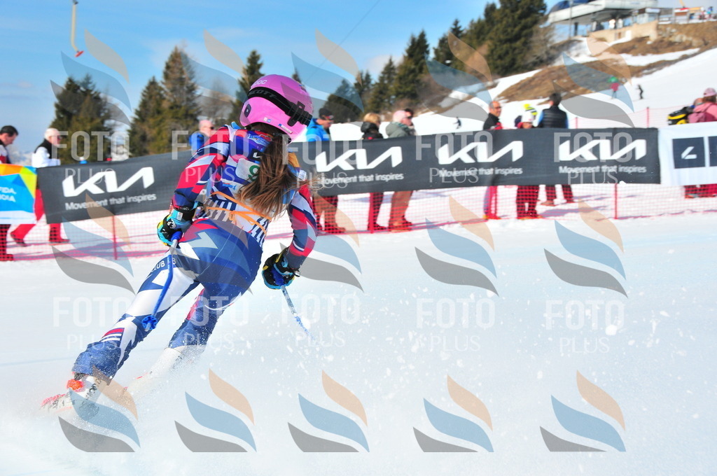 DSC_0607 | holidayphoto