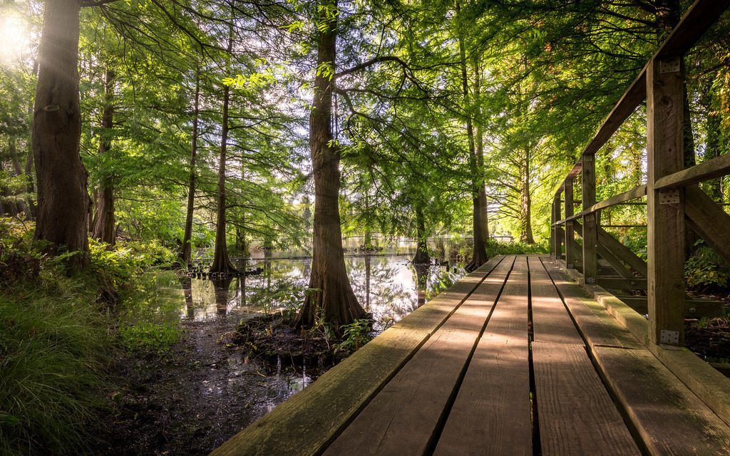 stativkunst-137 | Exklusive Hamburg collagen, tolle Segelbilder und viele weitere tolle Motive auf Leinwand, Poster, Alu-Dibond, u.v.m. findet Ihr bei uns auf hamburgbild.de. Findet Euer Wandbild für Euer Zuhause, Büro oder die  Praxis…. - Realisiert mit Pictrs.com