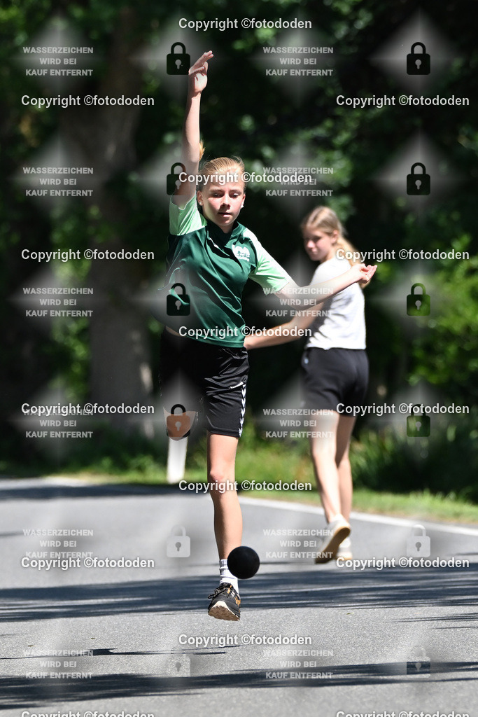 DSC_1311b | Ida Harms / Südarle / wJD Holz