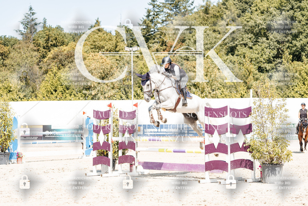 CK900879 | Turnierfotografie Pferdefotografie Trier Rheinland-Pfalz Pferdesport Reitsport Tierfotografie Sportfotografie Pferdevideo Pferdevideografie Equestrianvideography equestrianphotography  - Realisiert mit Pictrs.com