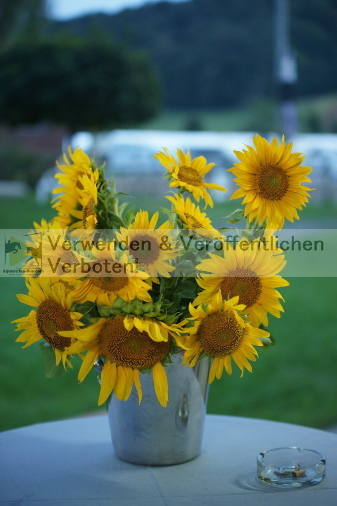 DSC09448 | equestrian-live-com