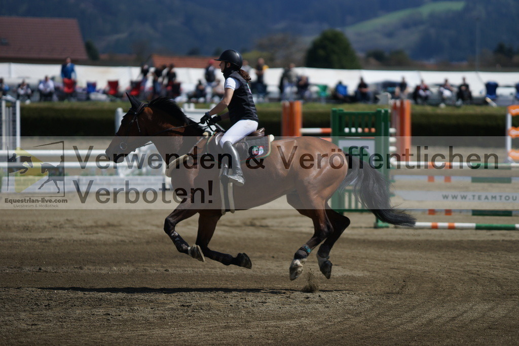 DSC02944 | equestrian-live-com