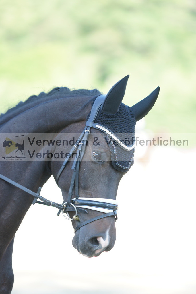 DSC02792 | equestrian-live-com