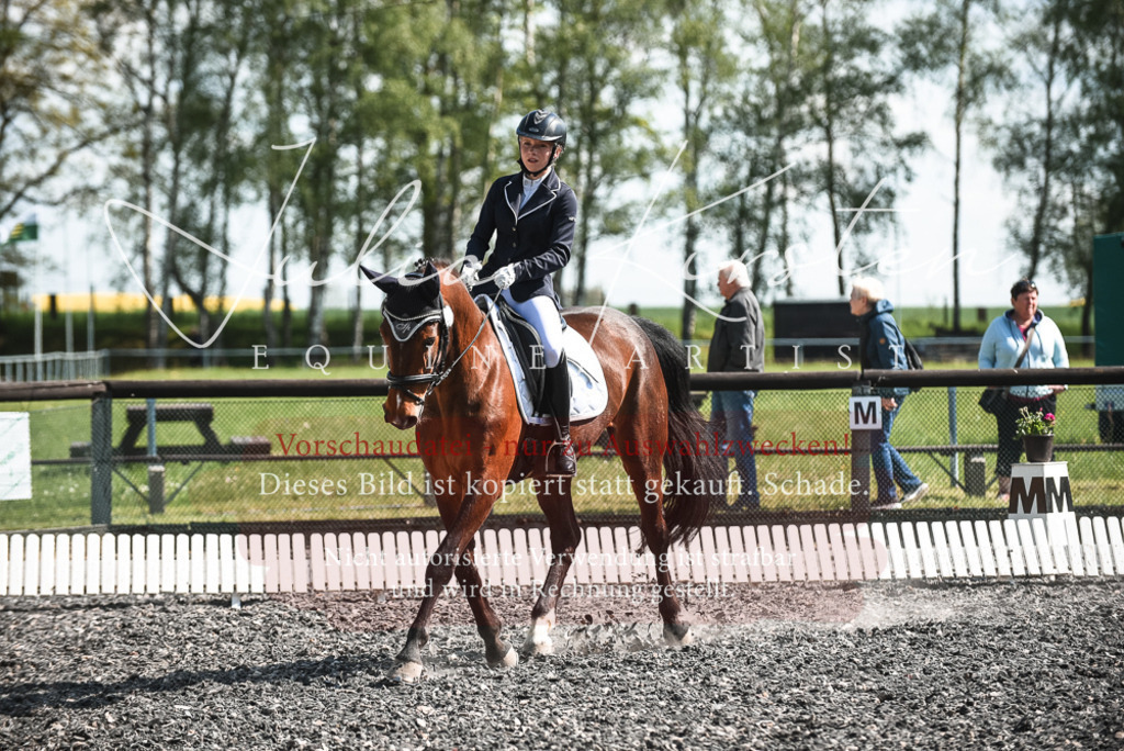 DSC_8888 | Pferde- und Turnierfotografie in Westsachsen. Pferdeportraits, Auftragszeichnungen und intuitive Kunst.