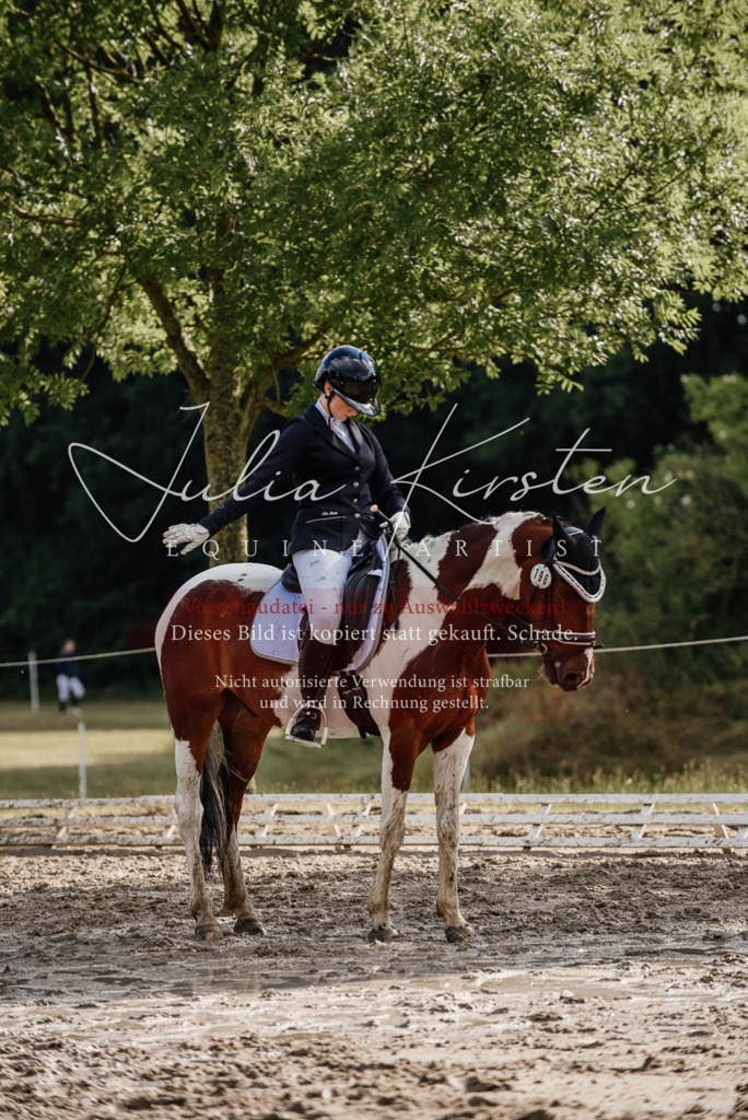 DSC_8718 | Pferde- und Turnierfotografie in Westsachsen. Pferdeportraits, Auftragszeichnungen und intuitive Kunst.