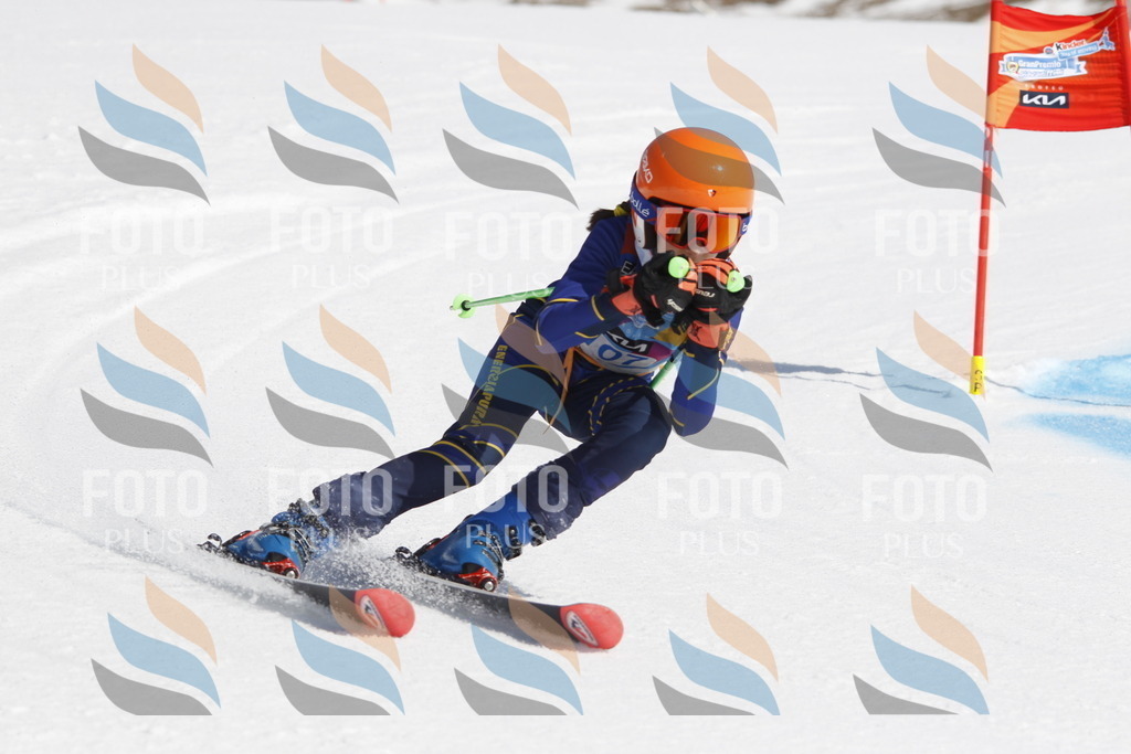 _U3G0440 | holidayphoto