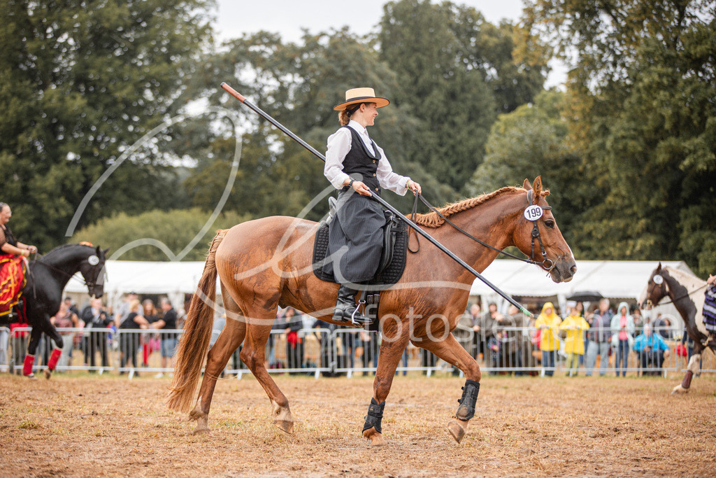 846A3293 | fotosleben - Realisiert mit Pictrs.com