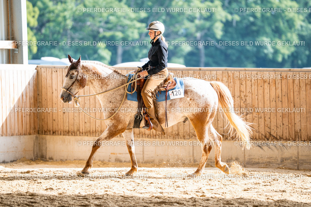 DSC08614 | Pferdegrafie