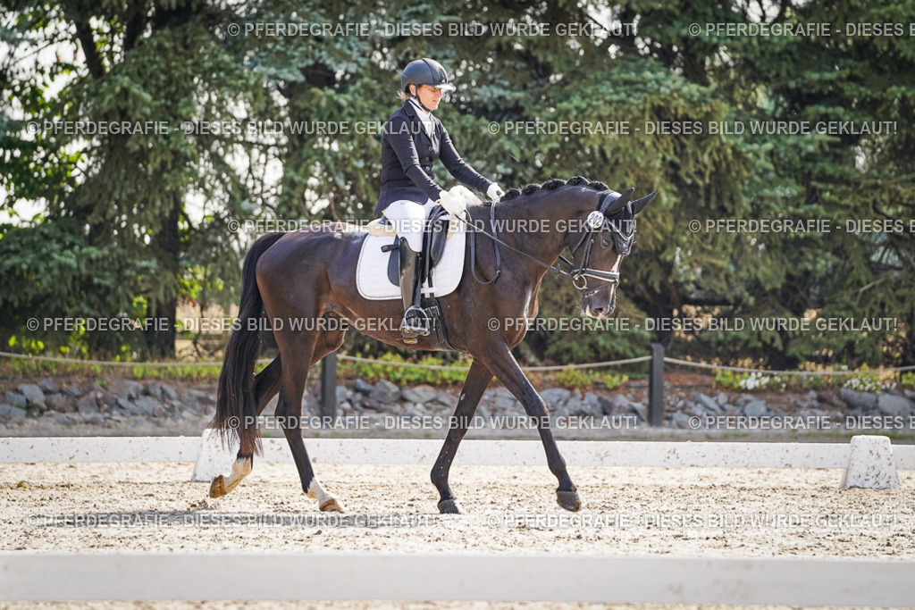 DSC06514 | Pferdegrafie